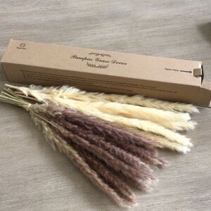 Dried Pampas Grass Decor Bundle